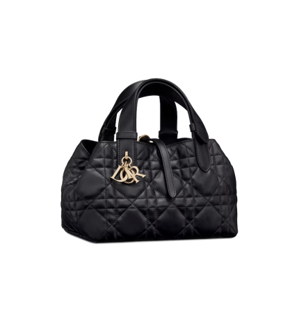 Small Dior Toujours Bag
