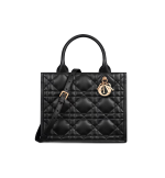 Small Dior Book Tote