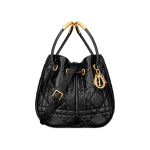 Medium Dior Nolita Bag