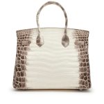 White Matte Crocodile Niloticus Himalaya Birkin 30 - Image 2