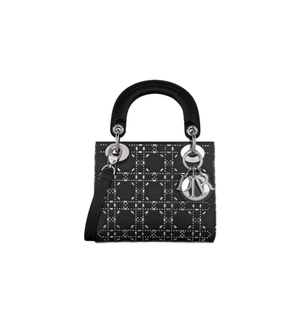 Mini Lady Dior Bag