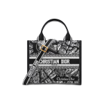 Small Dior Book Tote