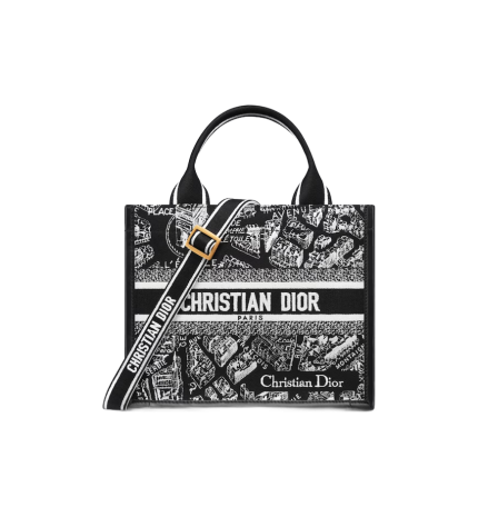 Small Dior Book Tote