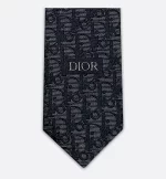 Striped Dior Oblique Tie - Image 4