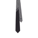 Striped Dior Oblique Tie
