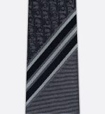 Striped Dior Oblique Tie - Image 3