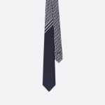 Striped Dior Oblique Tie