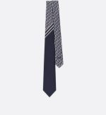 Striped Dior Oblique Tie