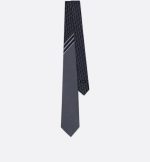 Striped Dior Oblique Tie
