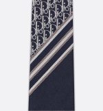 Striped Dior Oblique Tie - Image 3